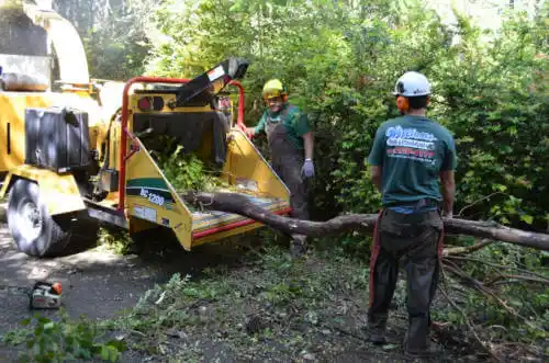 tree services Story City